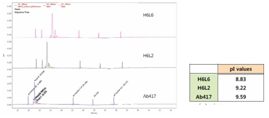 Ab417 항체 및 변이체들의 cIEF 결과 (왼쪽) 및 pI 값 (오른쪽)