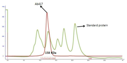 Ab417 항체의 gel filtration 으로 순도 확인 (GE, superdex 200)