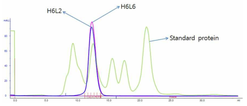 H6L2, H6L6 항체의 gel filtration 으로 순도 확인 (GE, superdex 200)