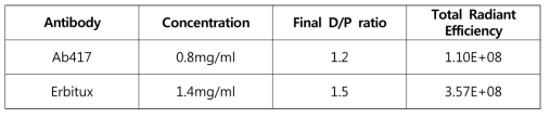 Cy5.5 접합 항체의 D/P (dye/protein) ratio