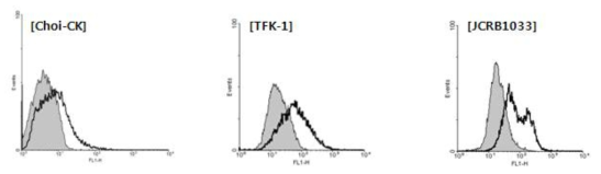 Choi-CK (ICC), TFK-1 (ECC) 및 JCRB1033 (GBC)의 flow cytometry 결과