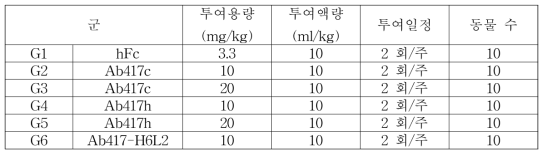 Choi-CK xenograft 모델에서 항체 용량 분석을 위한 군 구성