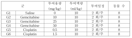 Choi-CK xenograft 모델에서 chemodrugs의 항암 효능 분석을 위한 군 구성