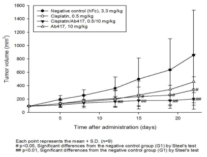 Choi-CK xenograft 모델에서 Ab417 항체와 cisplatin의 병용투여 효능 분석 결과, 종양 부피 변화