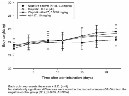 Choi-CK xenograft 모델에서 Ab417 항체와 cisplatin의 병용투여 효능 분석 결과, 체중 변화