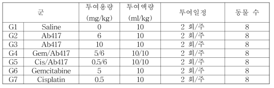 TFK-1 xenograft 모델에서 Ab417 항체와 chemodrugs (gem, cis)의 병용투여 효능 분석을 위한 군 구성