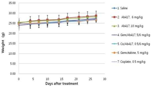TFK-1 xenograft 모델에서 Ab417 항체와 chemodrugs (gem, cis)의 병용투여 효능 분석 결과, 체중 변화