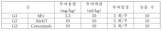 JCRB1033 xenograft 모델에서 항체 용량 분석을 위한 군 구성