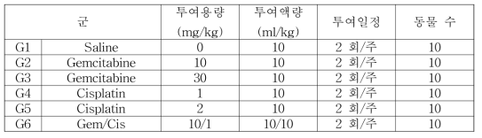 JCRB1033 xenograft 누드 마우스 모델에서 chemodrugs의 항암 효능 분석을 위한 군 구성