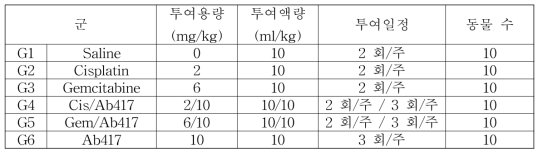 JCRB1033 xenograft 모델에서 Ab417 항체와 chemodrugs (gem, cis)의 병용투여 효능 분석을 위한 군 구성