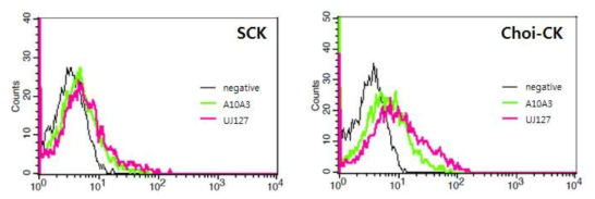Flow cytometry를 사용한 L1CAM shedding 확인 결과