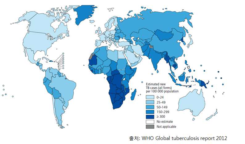 결핵의 세계적 분포 현황