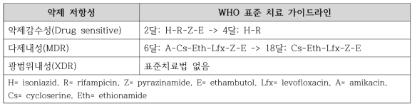 WHO 결핵 치료 가이드라인