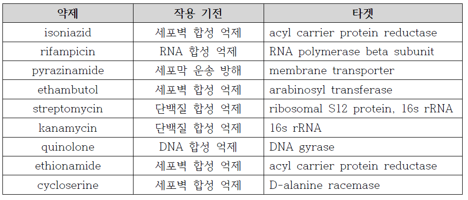 현재 주로 사용되는 결핵 치료제와 그의 작용 기전