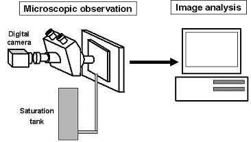 Schematic of image analysis system