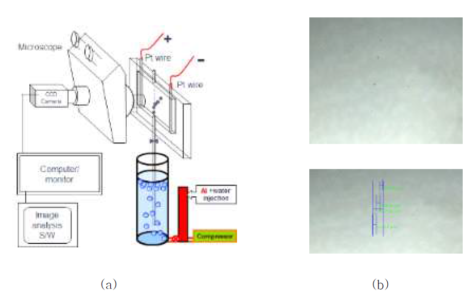 experimental set-up (a) and photograph of computational image analysis in microbubbles (b)