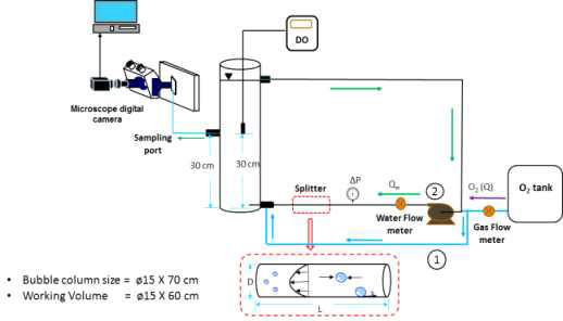 Schematic of Semi-Batch system for mass transfer improvement experiment