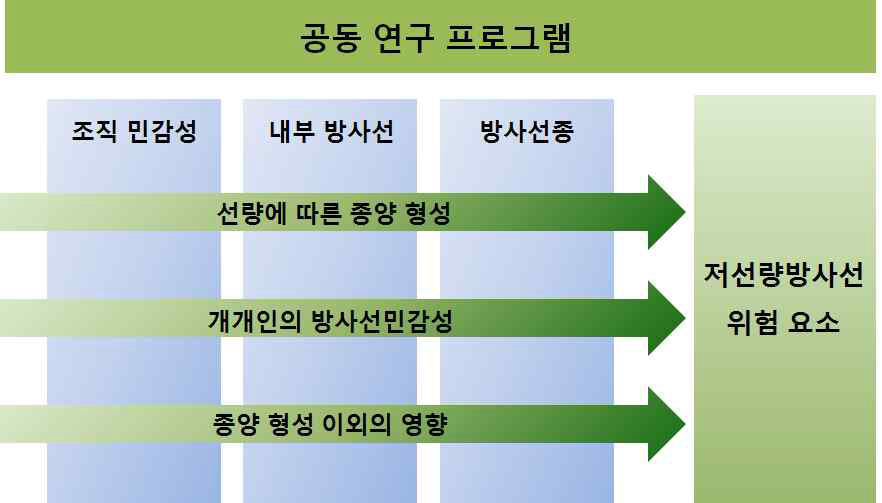 DoReMi에서 다루는 저선량방사선 연구 핵심내용