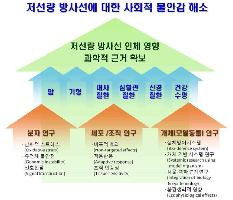 저선량방사선 핵심의제 체계도