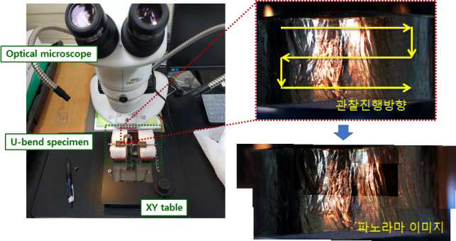 광학현미경을 통한 U-bend 시편 apex 부근 표면관찰방법