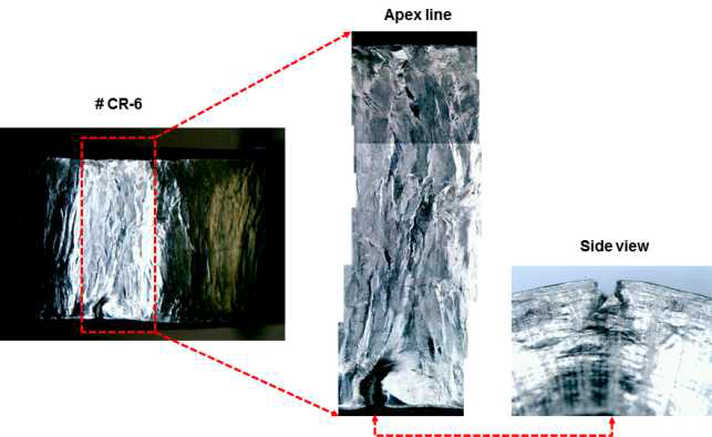Cold-rolled 조건시편 #6에서 발견된 초기균열(pre-existing crack)