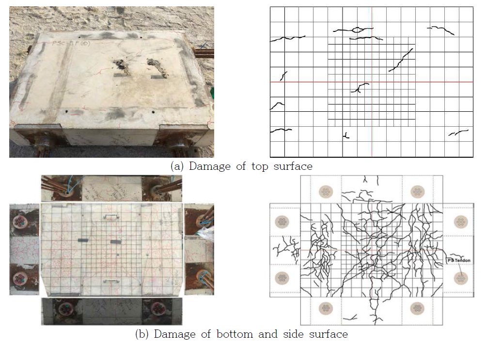 Damage of concrete specimen under blast load - PSC(D)