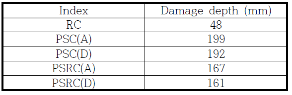 Damage depth of specimens