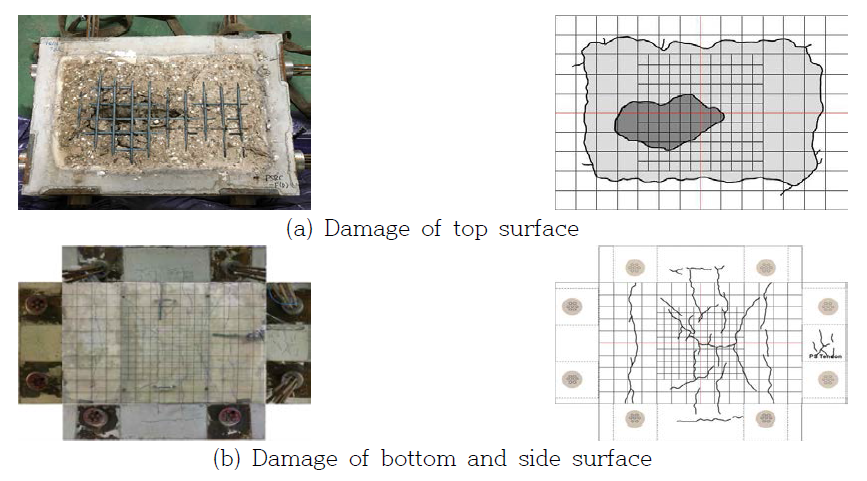 Damage of concrete specimen under fire load - PSRC(D)