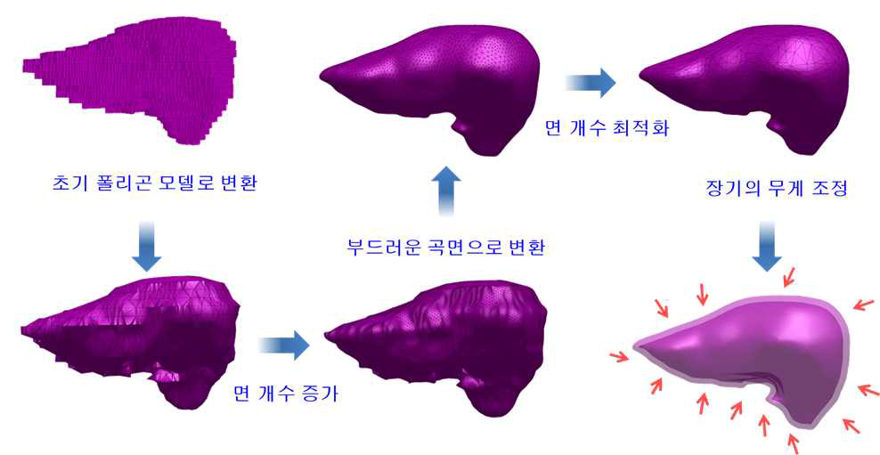 기존 ICRP 성인남성 표준팬텀의 간 모델을 폴리곤 모델로 변환하는 과정