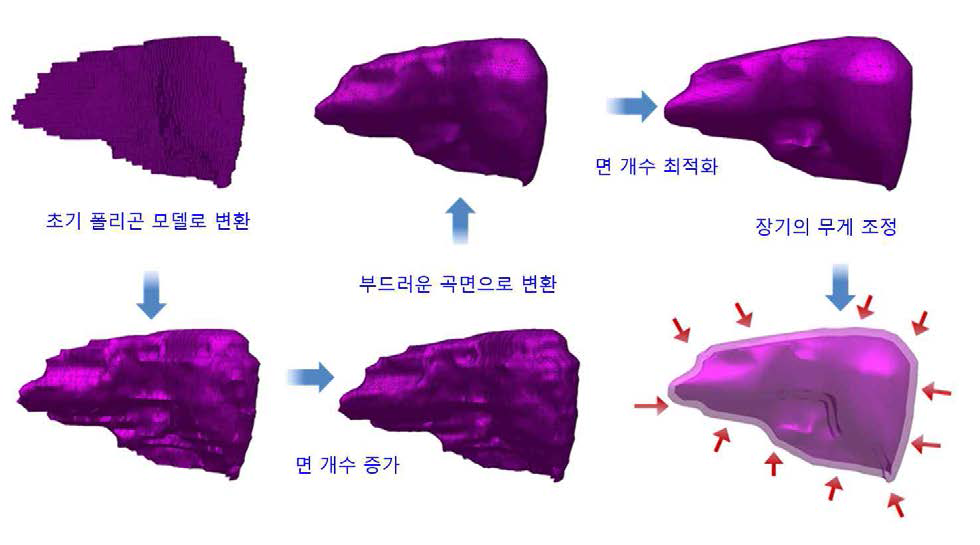 기존 ICRP 성인여성 표준팬텀의 간 모델을 폴리곤 모델로 변환하는 과정