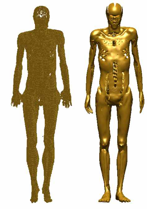 ICRP 성인여성 기존 근육 복셀 모델(왼쪽) 및 개발된 폴리곤 모델(오른쪽)