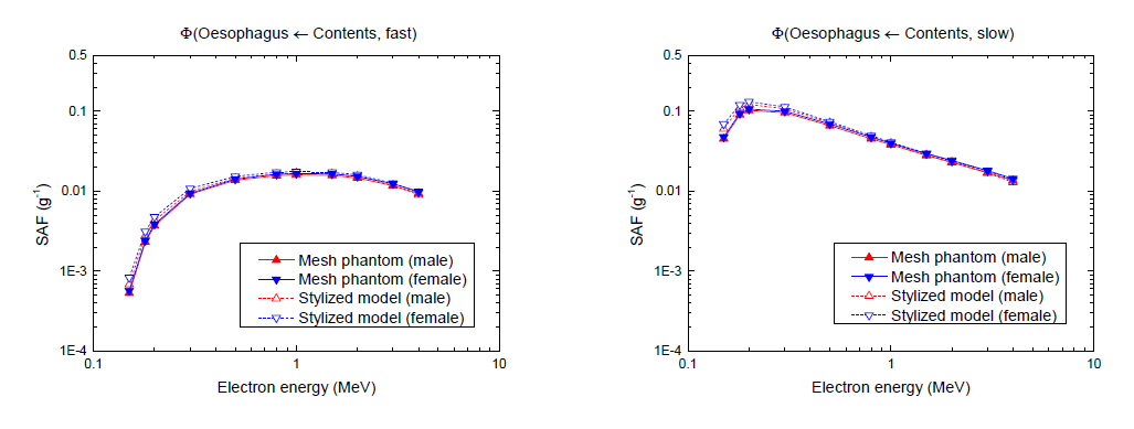 개선형 ICRP 성인남녀 표준팬텀 및 ICRP-100 보고서 기반 수학적 모델의 식도 전자 SAF: Fast 선원(좌), Slow 선원(우)