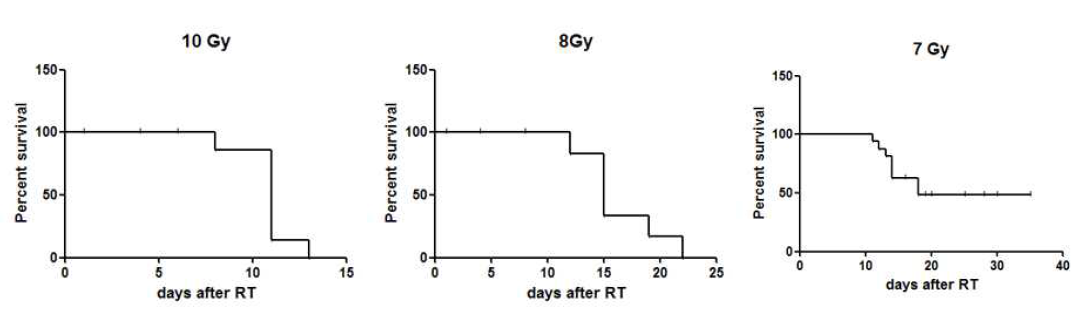 정상마우스에서 방사선 용량에 따른 생존율 평가