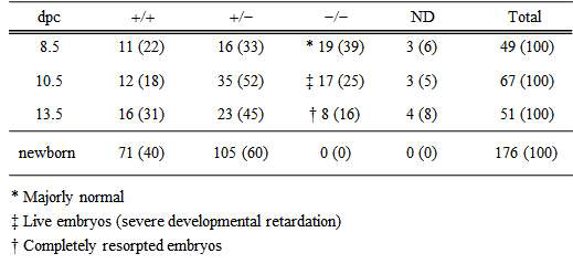 Pibf1 deficiency induces embryonic lethality in mice