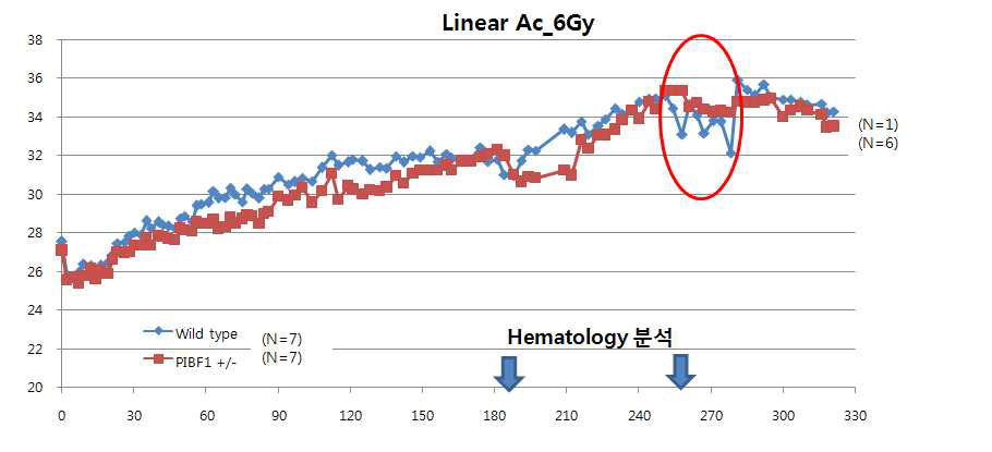 6 Gy 방사선 조사 후 마우스 체중 변화