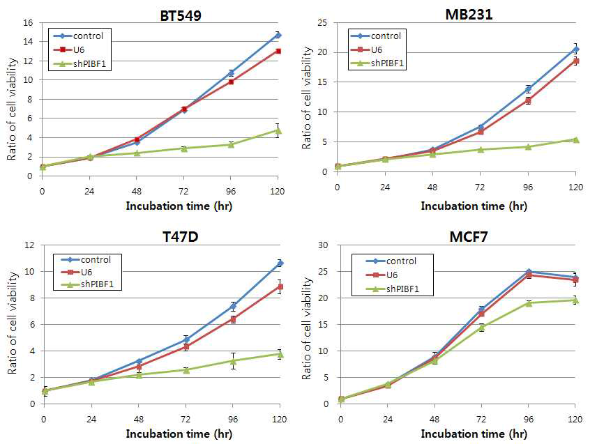 유방암 세포주에서 Pibf1을 조절하였을 때 세포증식 평가