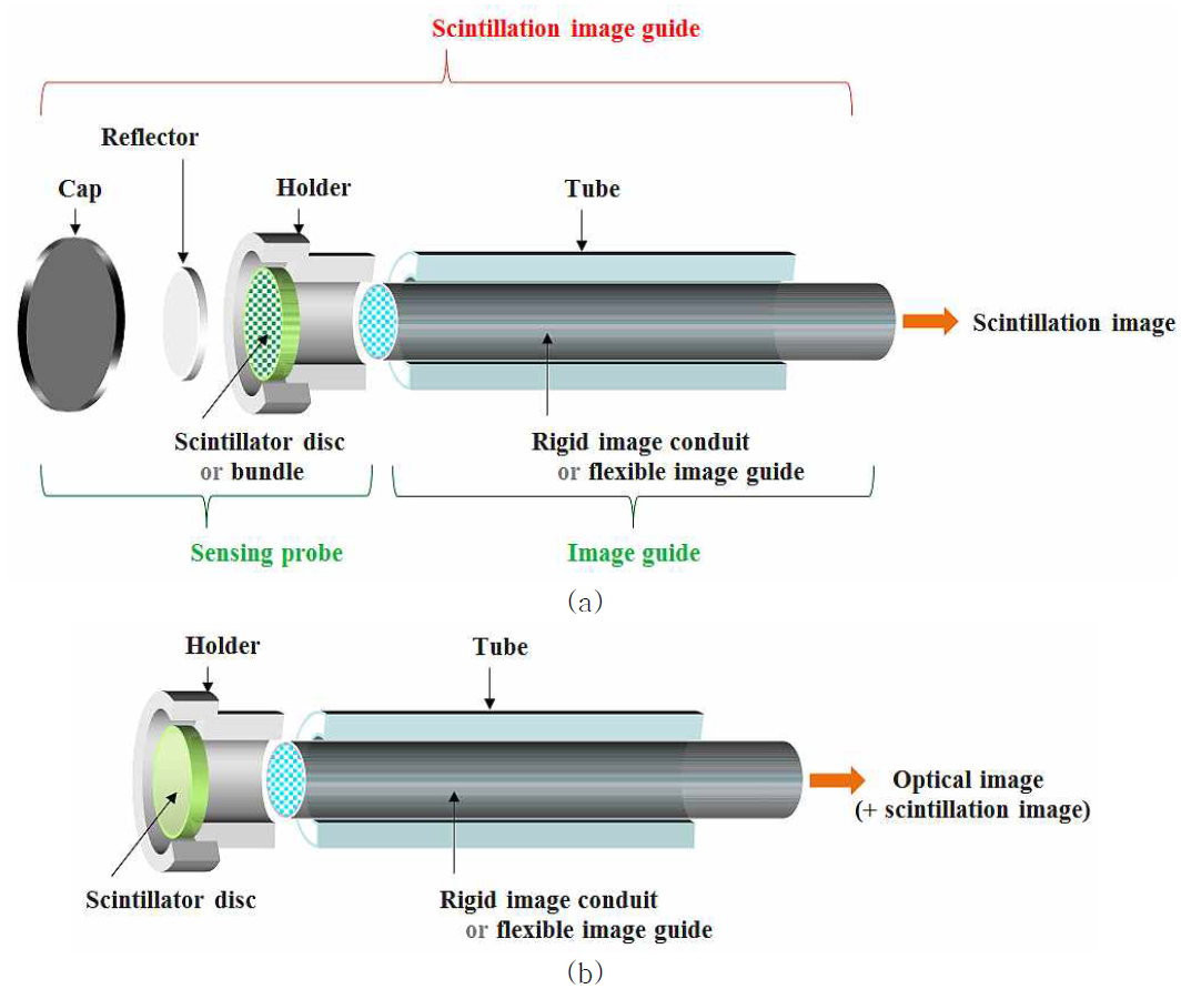 (a) 섬광영상 측정용, (b) 광학영상 (+ 섬광영상) 측정용 접촉식 경성 섬광 영상가이드의 기본구조
