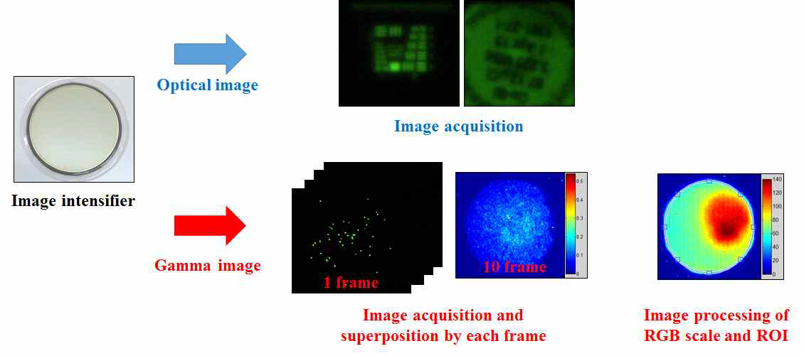 광학영상 및 섬광영상의 촬영 및 영상처리 과정