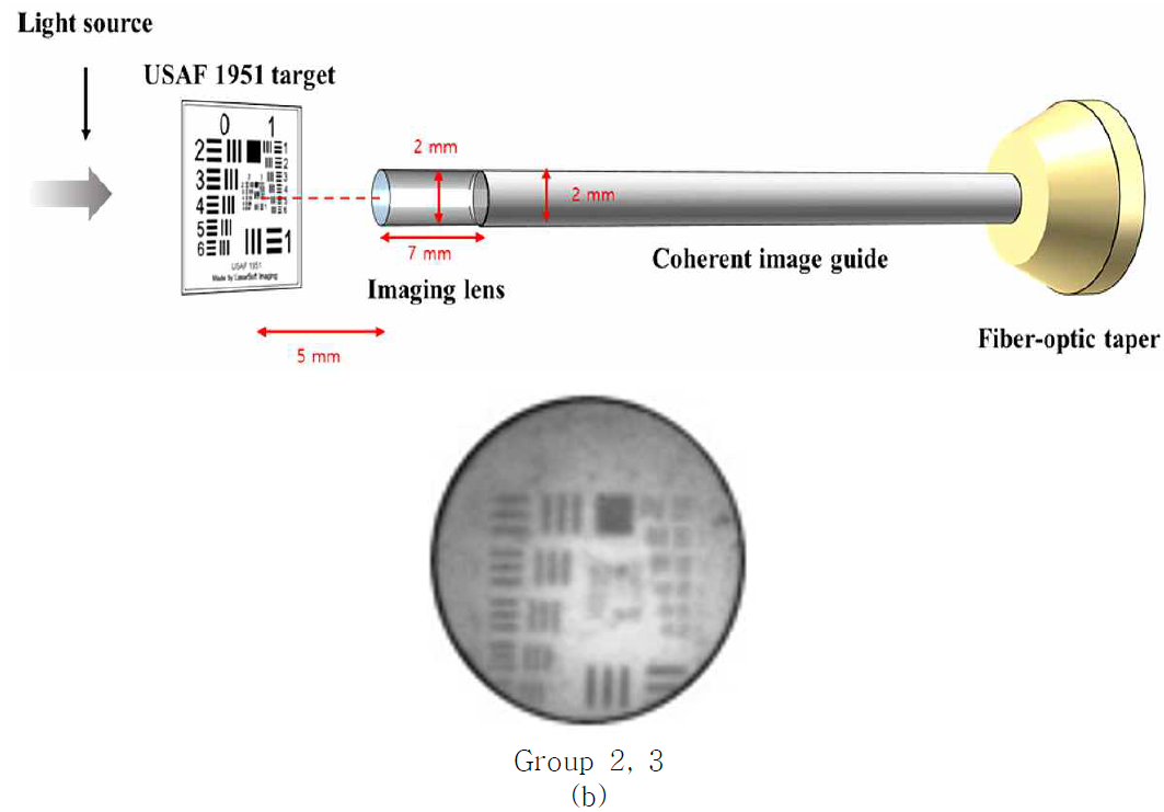 (a) GRIN 렌즈와 (b) 이미징 렌즈를 통해 측정된 USAF 1951 분해능 타겟의 광학영상 비교 및 평가