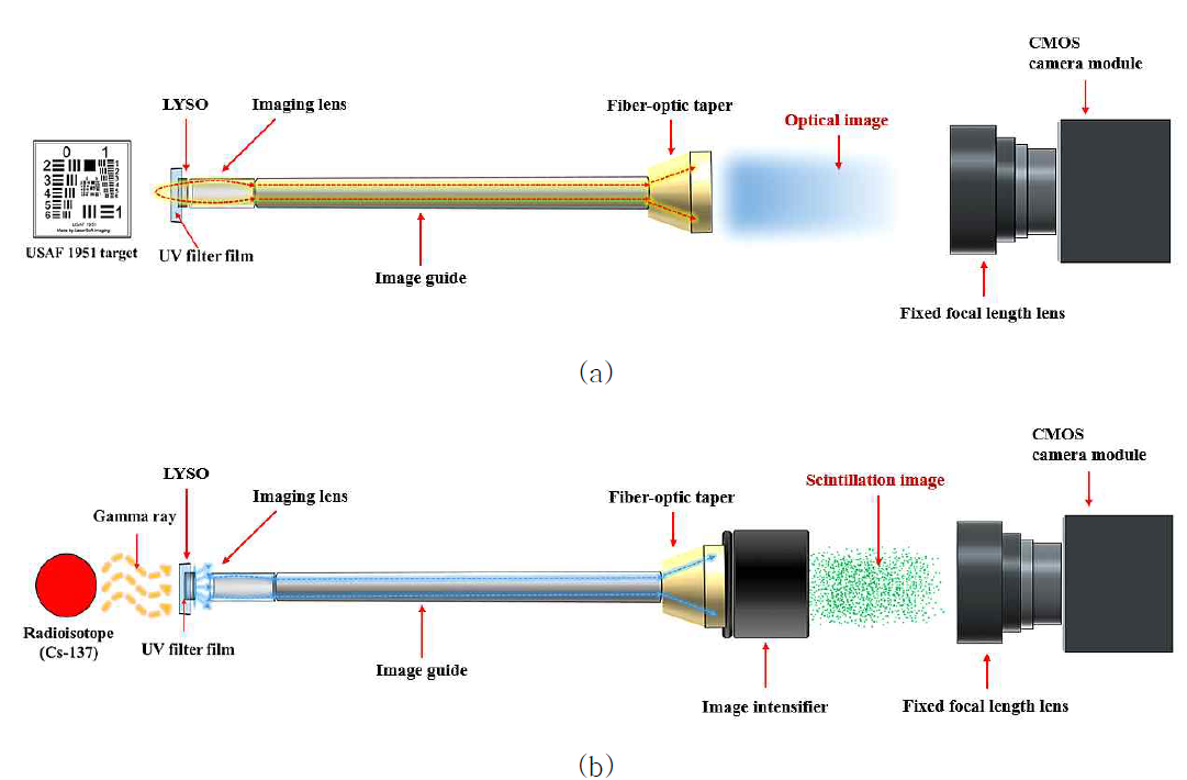 (a) 광학영상과 (b)섬광영상의 측정을 위해 구성한 소형 감마 내시경 시스템