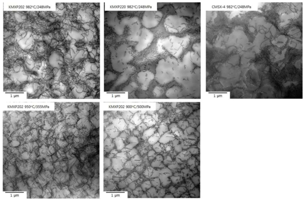 단결정 개발합금 및 상용합금의 크리프 파단 후 TEM 미세조직