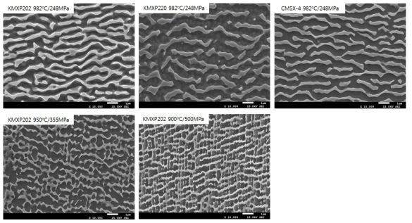 단결정 개발합금 및 상용합금의 크리프 파단 후 파단면 SEM 미세조직