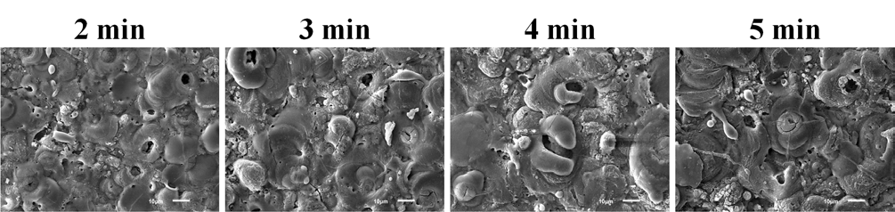 Surface morphologies of PEO film formed on AZ91 Mg alloy using alternating current with 60 ㎐ in 0.05 M NaOH+ 0.05 M Na2SiO3 solution.