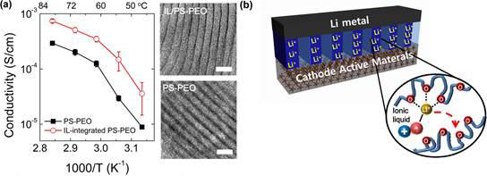 포항공대 팀의 기반의 고분자 전해질 연구 사례