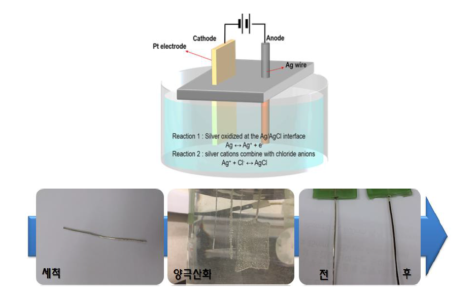 양극산화법을 통한 Ag/AgCl 전극 제조