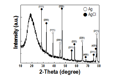 Ag/AgCl 전극 (6hr) XRD