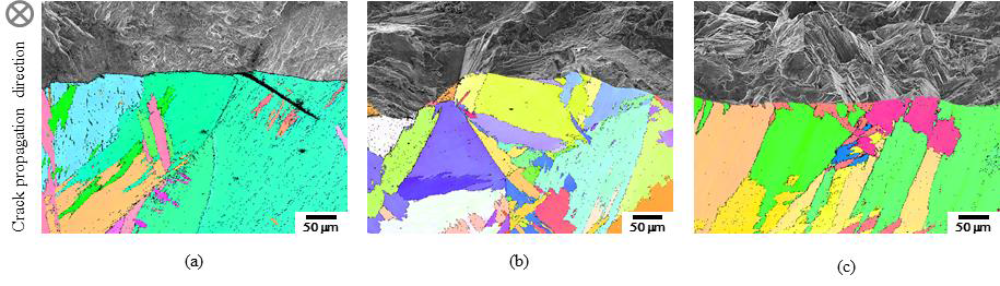 (a) 대기와 (b) +0.05 및 (c) -0.1 V vs Ecorr가 인가된 0.6 M NaCl 수용액 환경에서 피로균열전파 시험된 BA/S 시편의 EBSD 분석