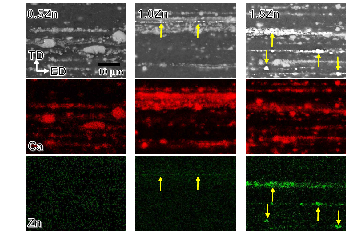 Zn 함량에 따른 Ca과 Zn의 분포 양상