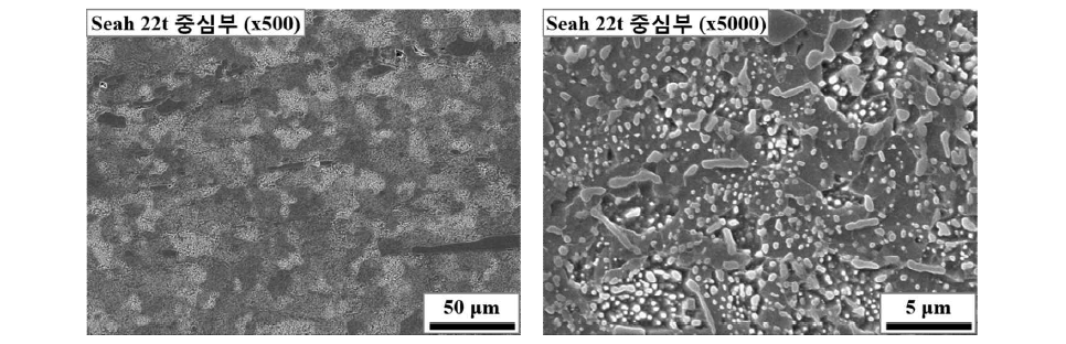 국산 냉간금형강 두께 22 mm 제품의 구상화 상태 미세조직