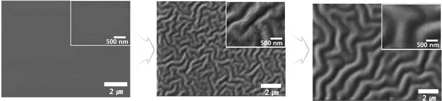 PDMS 기판에 대한 이온 입사 에너지/양에 따른 표면구조 변화 사진